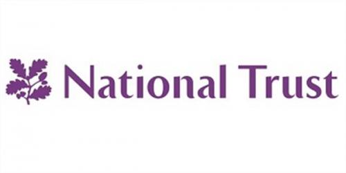NT